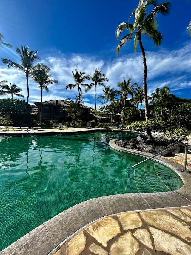 view of swimming pool