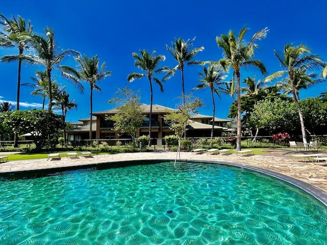 view of swimming pool