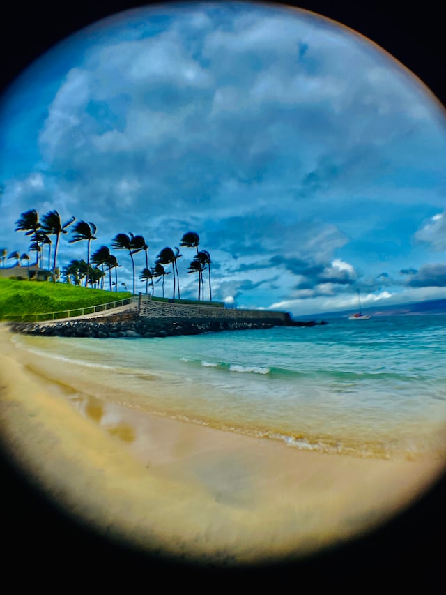 view of water feature featuring a view of the beach