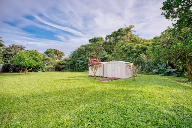 view of yard with a storage shed