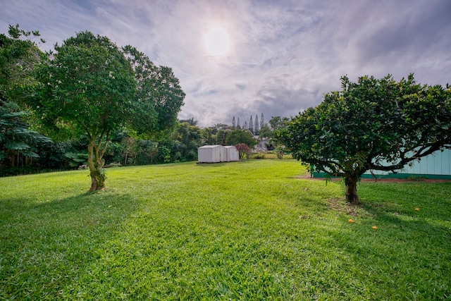 view of yard with a storage unit