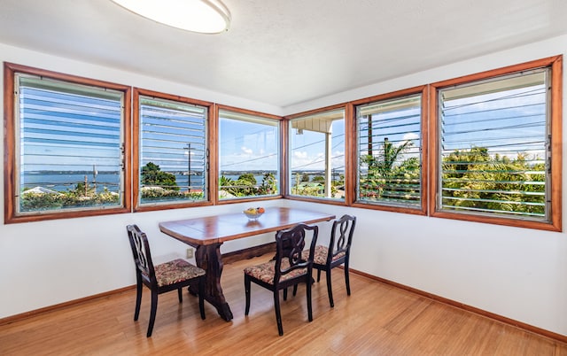 dining area with light hardwood / wood-style floors