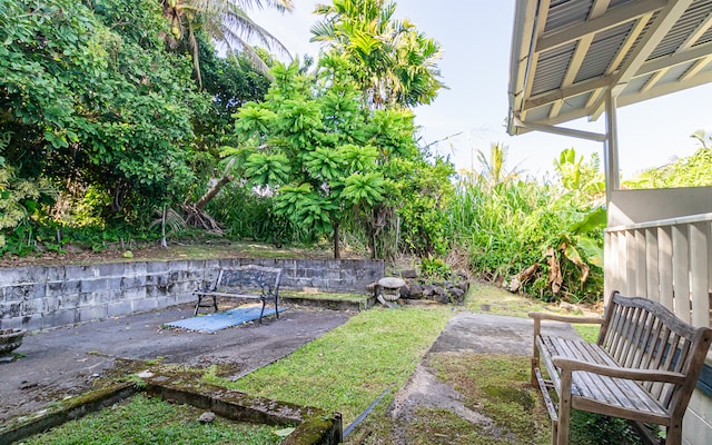 view of yard with a patio