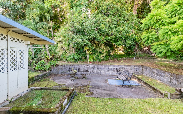 view of yard featuring a patio