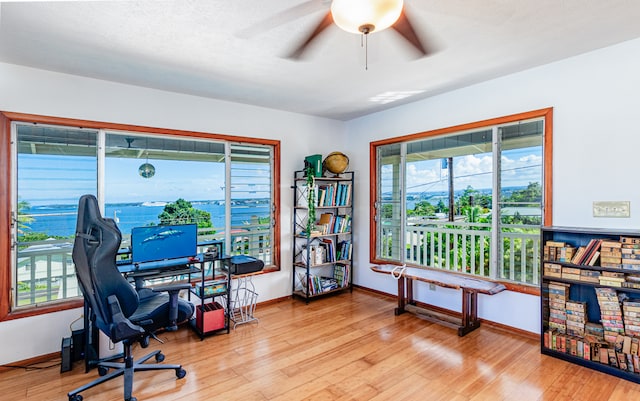 office featuring ceiling fan and light hardwood / wood-style floors