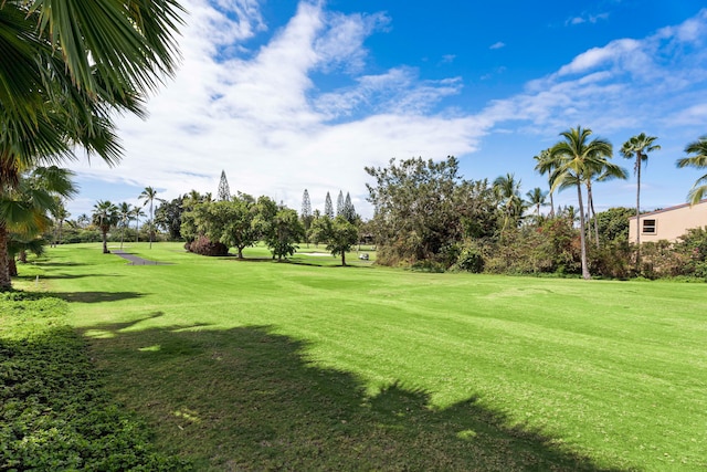 view of community with a lawn