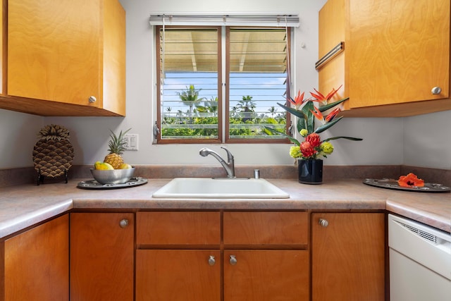 kitchen featuring sink and dishwasher