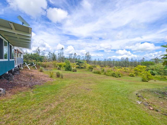 view of yard