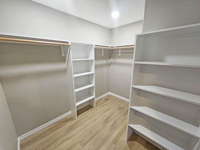 spacious closet featuring wood finished floors