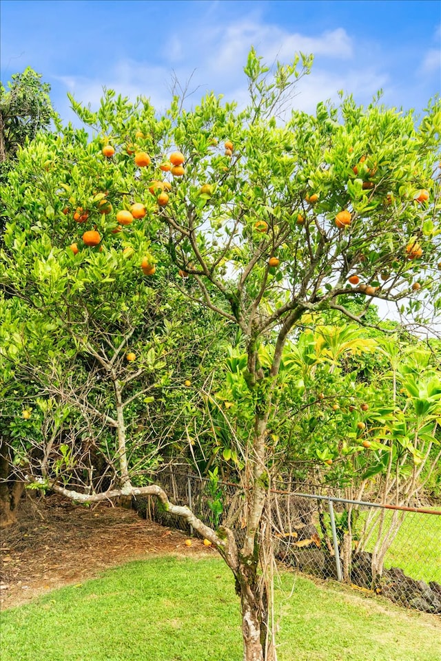 view of nature