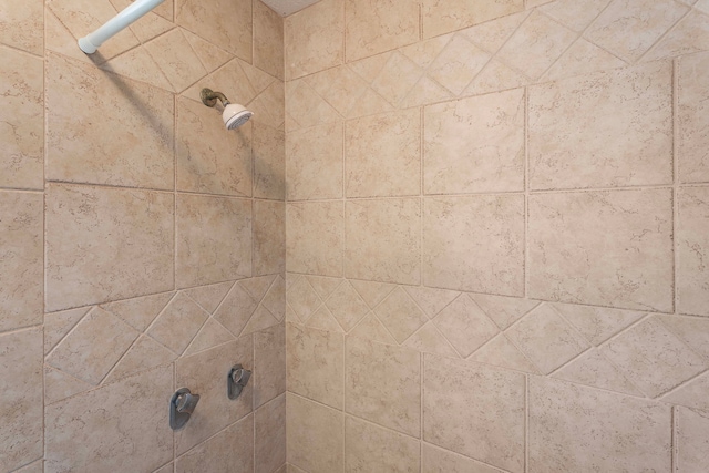 room details with a tile shower