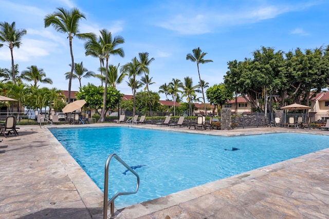 view of pool featuring a patio