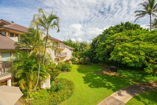 view of yard with a balcony