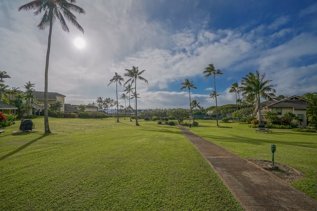 view of community with a yard