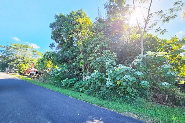 Listing photo 2 for Maikoiko St, Pahoa HI 96778