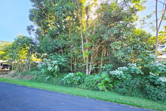 Listing photo 3 for Maikoiko St, Pahoa HI 96778