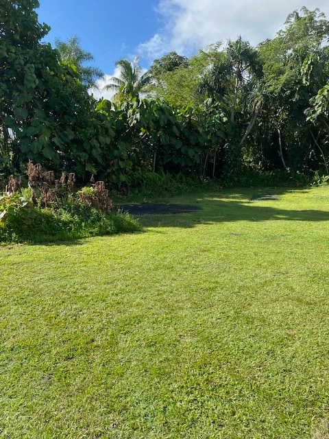 15-2714 Opakapaka St, Pahoa HI, 96778 land for sale