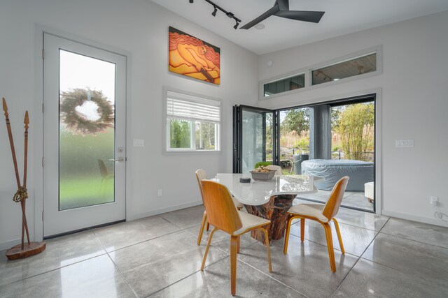 dining area with ceiling fan and a wealth of natural light