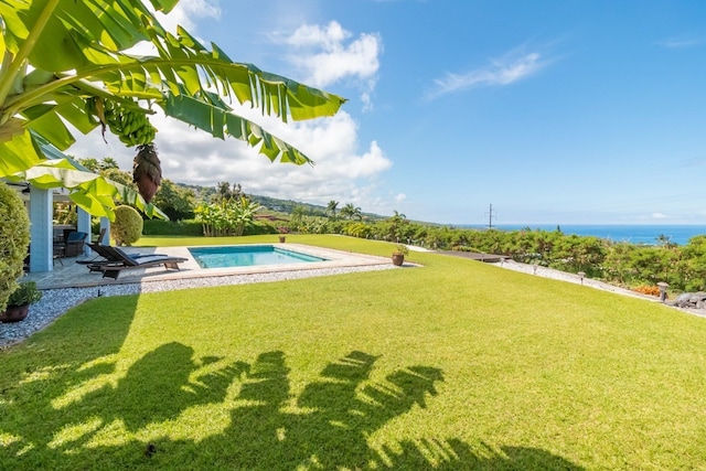 view of pool featuring a patio area and a yard