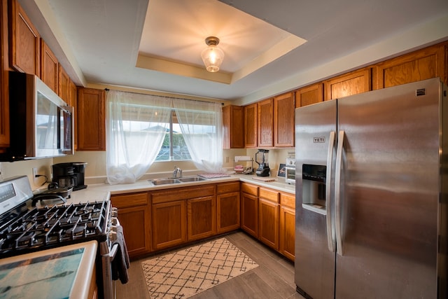 kitchen with sink, appliances with stainless steel finishes, a tray ceiling, and light wood-type flooring