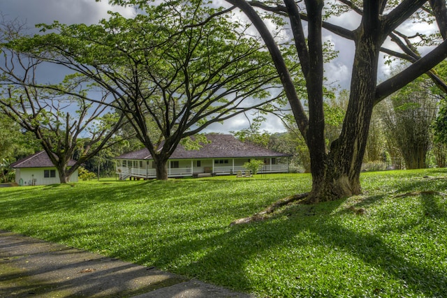 6140 Kahiliholo Rd, Kilauea, HI 96754 - view of grassy yard with a porch