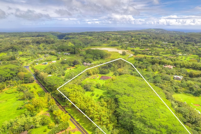 6140 Kahiliholo Rd, Kilauea, HI 96754 - aerial view of property's location featuring property boundaries highlighted and a heavily wooded area