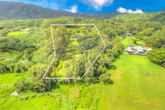 aerial view with a mountain view