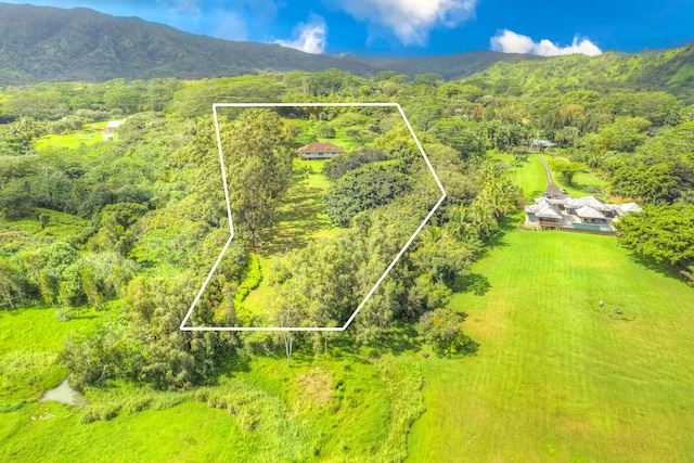 6140 Kahiliholo Rd, Kilauea, HI 96754 - aerial view of property and surrounding area featuring property parcel outlined, a heavily wooded area, and a mountainous background