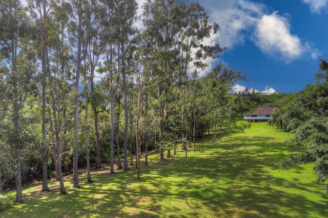 6140 Kahiliholo Rd, Kilauea, HI 96754 - view of grassy yard featuring a wooded view