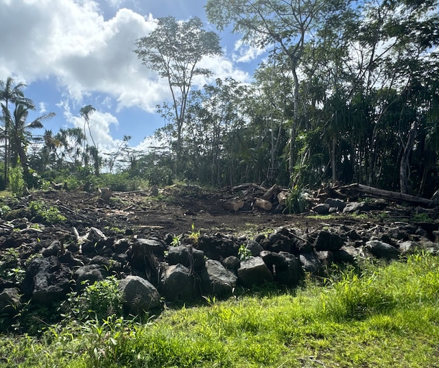 Listing photo 2 for Oio St, Pahoa HI 96778