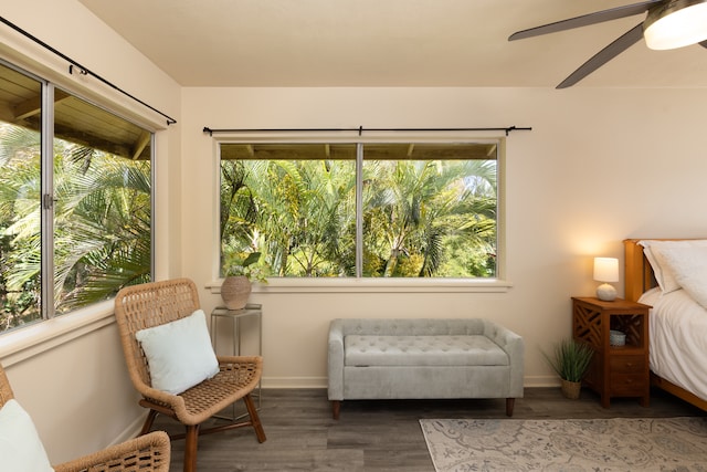 interior space featuring ceiling fan and a wealth of natural light