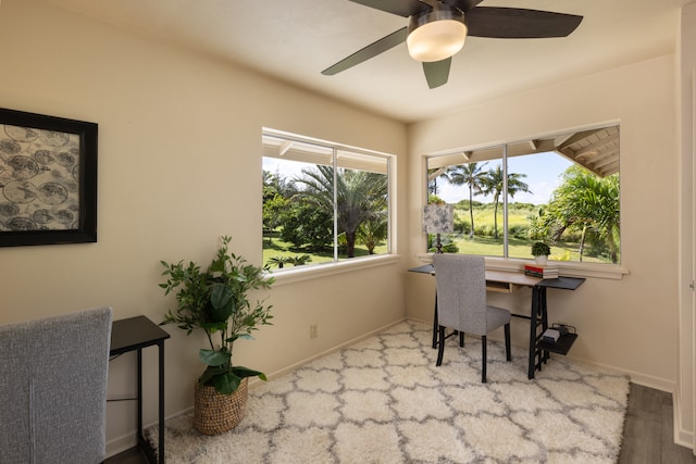 office space with ceiling fan and hardwood / wood-style floors