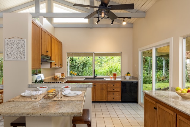 kitchen with a wealth of natural light, stove, dishwasher, and sink