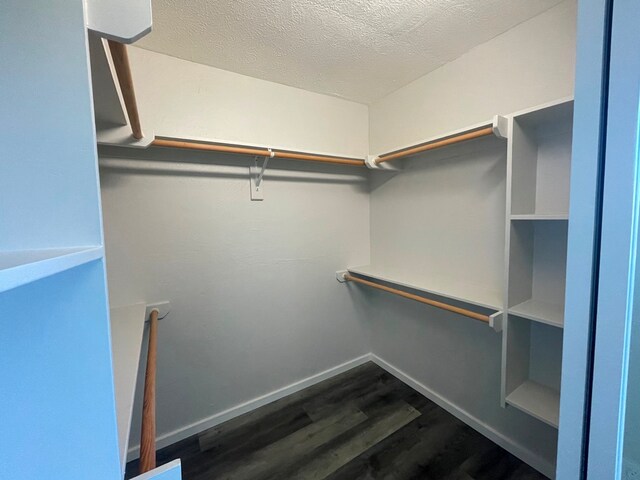 walk in closet featuring dark hardwood / wood-style floors