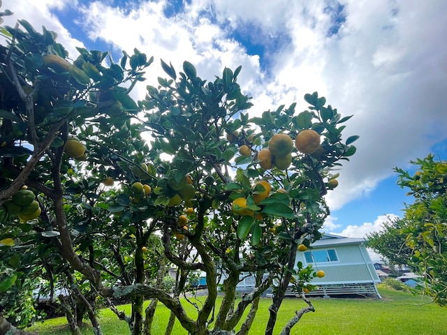 view of property exterior featuring a yard