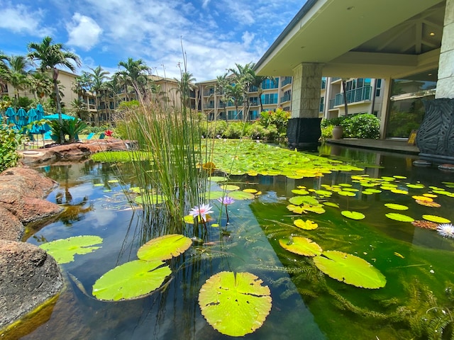 view of property's community featuring a small pond