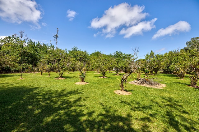 surrounding community featuring a yard and a rural view