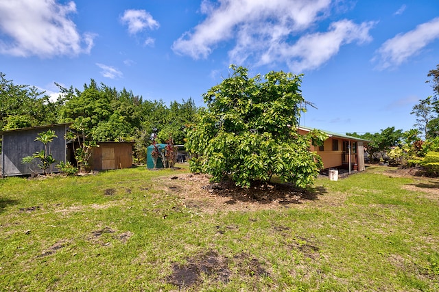 view of yard featuring a shed