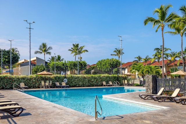 view of pool with a patio area