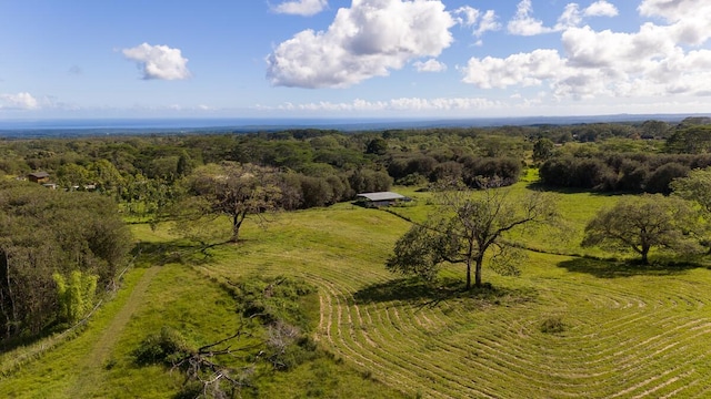 birds eye view of property with a rural view