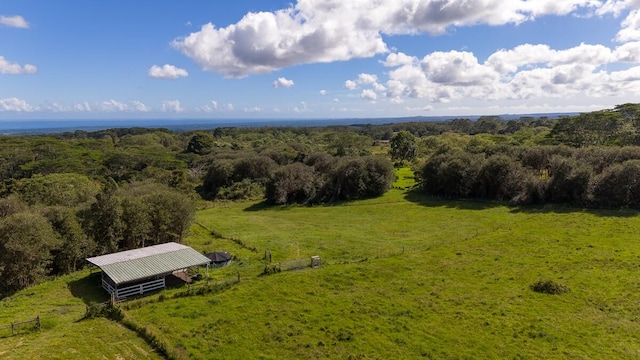 aerial view with a rural view