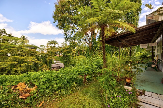 view of yard with a deck