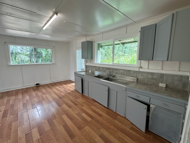 kitchen with gray cabinets, light hardwood / wood-style flooring, plenty of natural light, and sink