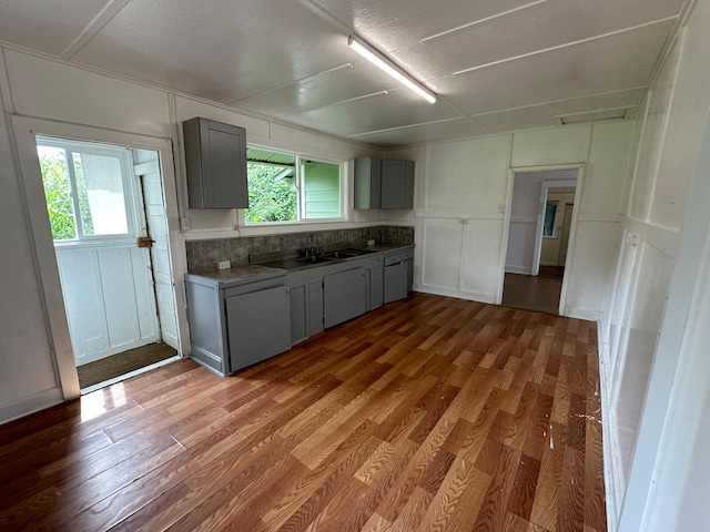 kitchen featuring gray cabinets, dark hardwood / wood-style flooring, and plenty of natural light