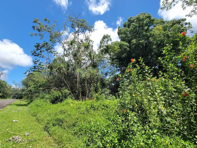 Listing photo 3 for Nenue St, Pahoa HI 96778