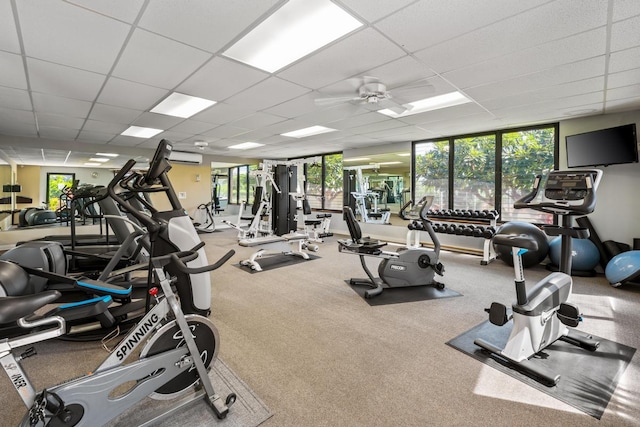 gym with carpet floors, a wealth of natural light, a paneled ceiling, and ceiling fan