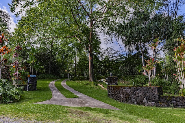 view of property's community with a yard