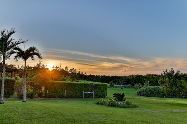 view of yard at dusk