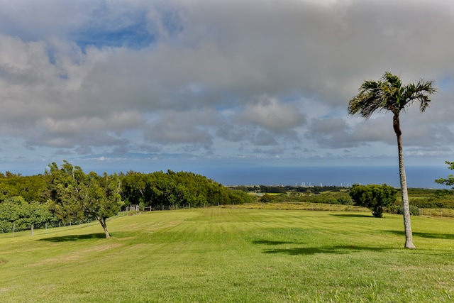 view of community with a lawn