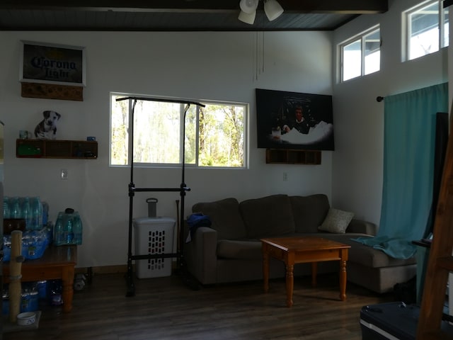 living room featuring hardwood / wood-style flooring, wooden ceiling, plenty of natural light, and lofted ceiling with beams